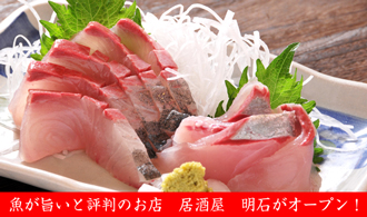 %96%BE%90%CE%89%E6%91%9C%83u%83%8D%83O%97p.jpg