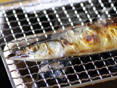 kg_sanma.jpg